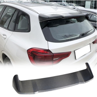 Spoiler V1 (carbon) foto 1