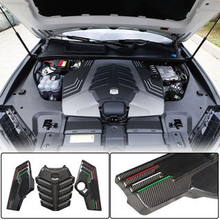 Motorafdekking (dry carbon) foto 1