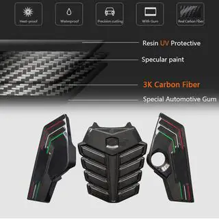 Motorafdekking (dry carbon) foto 4
