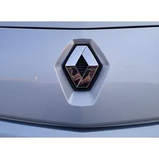 Voorste embleem (128 mm x 105 mm, Turkije) foto 2