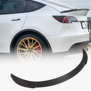 Spoiler V1 (2020-2025, carbon) foto 1