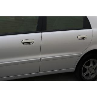 Deurgreepcovers (RVS) foto 4