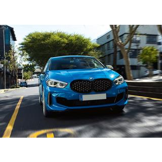 Niergrille Diamond Silver (1 st.) BMW 1 Serie F40 2019–2024 foto 1