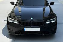 BMW 3 Serie G20/G21 2018– Niergrilles 1 Bar (2018-2022, mat zwart) foto 1