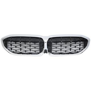 Nierengrille Diamond Black (2018-2022, chroomrand) foto 2
