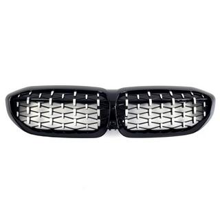 Diamond Silver nierengrilles (2018-2022, zwarte omlijsting) foto 2