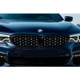 Niergrilles Diamond Silver V1 (2017-2020, zwarte omlijsting) BMW 5 Serie G30/G31 2017–2023 foto 1