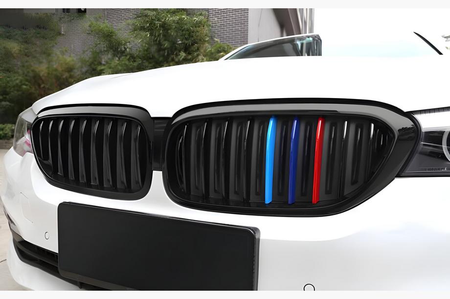 BMW 5 Serie G30/G31 2017–2023 Nierengrille 1 Bar (2017-2020, M-Color) Image