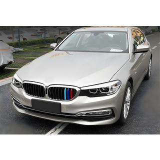 Niergrille 1 Bar (2017-2020, M-Color met chromen omlijsting) BMW 5 Serie G30/G31 2017–2023 foto 1