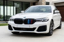 BMW 5 Serie G30/G31 2017–2023 Niergrilles M-Look V1 (2021+, M-Color) foto 1