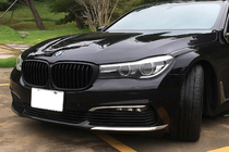 BMW 7 Serie G11/G12 2015–2022 Nierengrille 1 Bar (2016-2019, mat zwart) foto 1