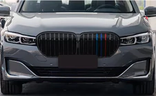 BMW 7 Serie G11/G12 2015–2022 Nierengrille 1-spijls (2019-2022, M-Color) foto 1