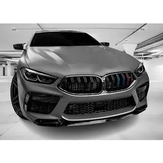 Nierengrille M-Look (2018-2022, M-Color)