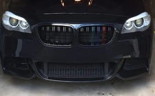 BMW X1 E84 2009–2015 M-Look nierengrilles (M-Color) foto 1