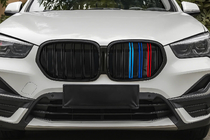 BMW X1 F48 2015–2022 Nierengrille M-Look (2020-2022, M-Color) foto 1