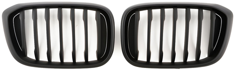 BMW X3 G01 2018– Nierengrille 1 Bar (2018-2021, matzwart) foto 2