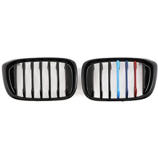 Niergrille 1 bar (2018-2021, M-Color) foto 2