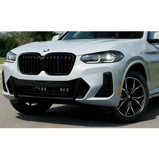 Nierroosters 1 Bar (2021+, M-Color) BMW X3 G01 2018–
