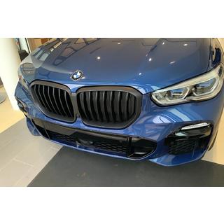 Niergrille 1 Bar (2019-2022, mat zwart) BMW X5 G05 2019–2026 foto 1