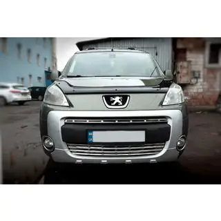 Grille sierlijsten (2-delig, RVS) Citroen Berlingo 2008–2018 foto 4