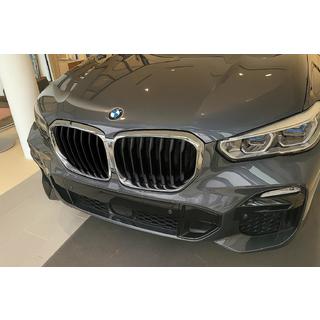 Niergrille 1 Bar (2019-2022, hoogglans zwart met chromen omlijsting) BMW X5 G05 2019–2026 foto 1