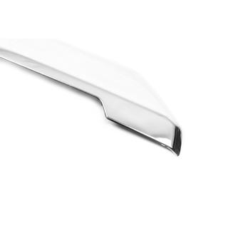 Chroomstrip boven kenteken (voor camera, RVS) Ford Custom 2013–2022 foto 4