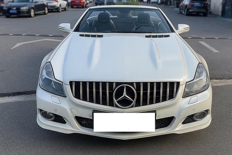 Mercedes SL R230 2001–2011 GT Panamericana voorgrille (2008-2011) Image