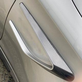 Afdekkappen voor voorste spatborden (voor coupé/cabriolet C63 AMG 2015-2019, carbon) foto 3