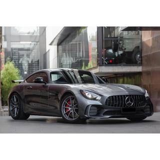 GT Panamericana voorgrille (2018+) Mercedes AMG GT C190/R190 2014–2022 foto 1