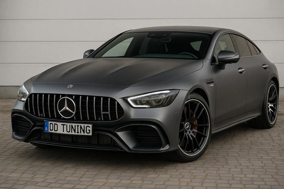 Mercedes AMG GT 4 X290 2018– GT Panamericana voorgrille (2018-2022) Image