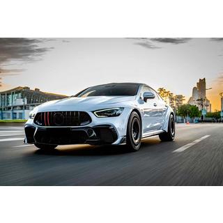 Voorgrille GT Panamericana GT-R (2018-2022) Mercedes AMG GT 4 X290 2018– foto 3