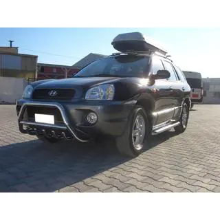 RVS bullbar WT003