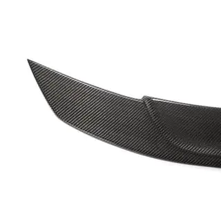 Spoiler V1 (carbon) foto 2