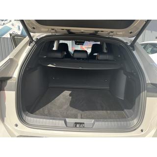 Premium textiele kofferbakmat (Zwart) BYD Song Plus EV/Seal U 2020– foto 3