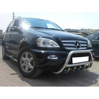 Bullbar (RVS) foto 2