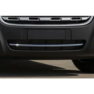 RVS bumperstrip