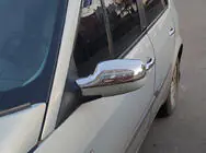 Renault Scenic/Grand 2003–2009 Spiegelkappen (2 stuks, RVS) foto 1