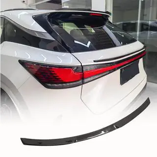 Spoiler (carbon) foto 1