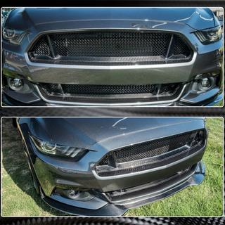 Radiateurgrille (2015-2017, Carbon) foto 4