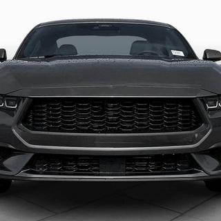 Radiateurgrille (voor S650, carbon) foto 2