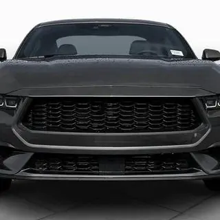 Radiateurgrille (voor S650, carbon) foto 2