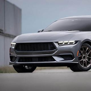 Radiateurgrille (voor S650, carbon) foto 3