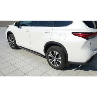 OEM zijtreden (2024+, 2 st., aluminium)