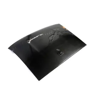 Dakspoiler (carbon)