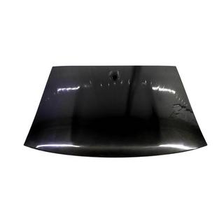 Dakspoiler (carbon) foto 2