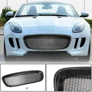 Radiateurgrille (2013-2016, carbon) foto 1