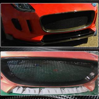 Radiateurgrille (2013-2016, carbon) foto 4
