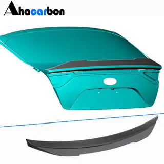 Spoiler V1 (carbon) foto 2