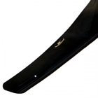 Lexus RX 2003–2009 Motorkapdeflector (HIC) foto 2