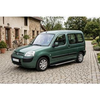 Duru zijtreden (set van 2, aluminium) Citroen Berlingo 1996–2008 foto 1